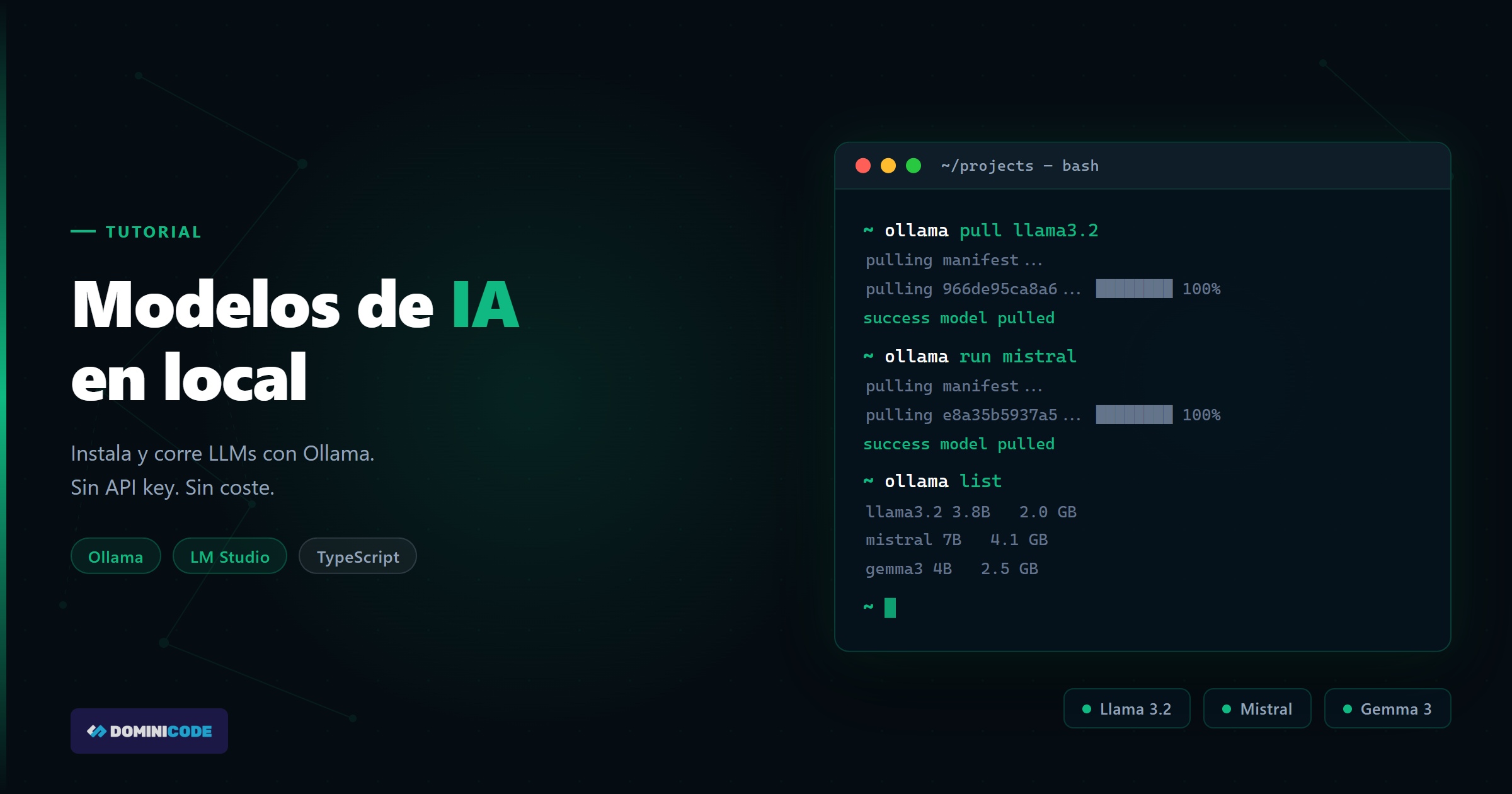 modelos IA en local — Dominicode
